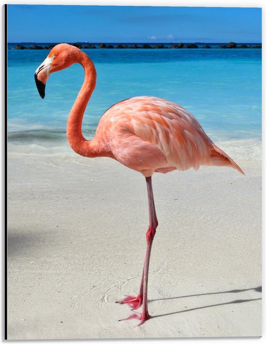 Dibond - Flamingo op Tropisch Strand - 30x40cm Foto op Aluminium (Met Ophangsysteem)