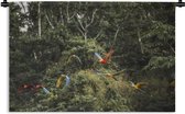 Tapisserie Forest Life - Perroquets dans la forêt tropicale Tapisserie coton 180x120 cm - Tapisserie avec photo XXL / Groot format!