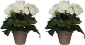 2x stuks witte Begonia kunstplant met bloemen 25 cm in grijze pot - Kunstplanten/nepplanten - Voor binnen