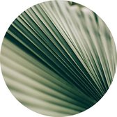 Muurcirkels FBRK. Palm blad Reboard 125 cm - Foto behang - wanddecoratie