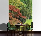 Forest Nature Photo Wallcovering