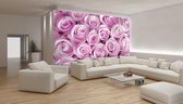 Photomural rose, revêtement mural