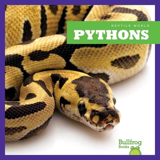 Pythons - cover