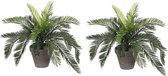 2x Groene Cycaspalm kunstplanten 37 cm in zwarte pot - Kunstplanten/nepplanten