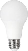 EXPERT LINE LED-lamp E27 12 W gelijk aan 75 W warmwit