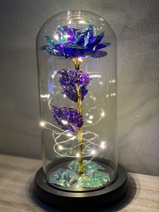 Rose Éternelle - Rose Galaxie Violette dans un dôme en verre avec LED - Fête  des Mères... | bol.com
