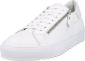 Steve Madden sneakers laag olivero Wit-43