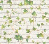 AS Création Elements - PAPIER PEINT LIERRE SUR PIERRE - vert blanc marron - 1005 x 53 cm