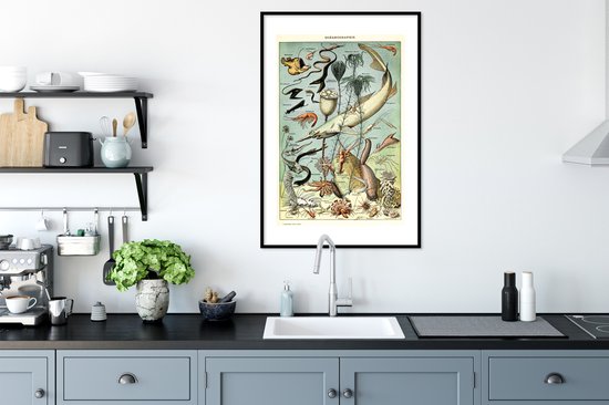 Cadre photo avec affiche - Mer - Animaux - Animaux aquatiques - 60x90 cm - Cadre pour affiche