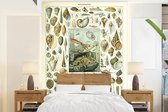 Behang - Fotobehang Zeedieren - Schelp - Vintage - Zee - Adolphe Millot - Breedte 160 cm x hoogte 220 cm