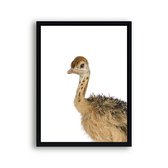Poster Jungle / safari baby struisvogel / Jungle / Safari / 30x21cm