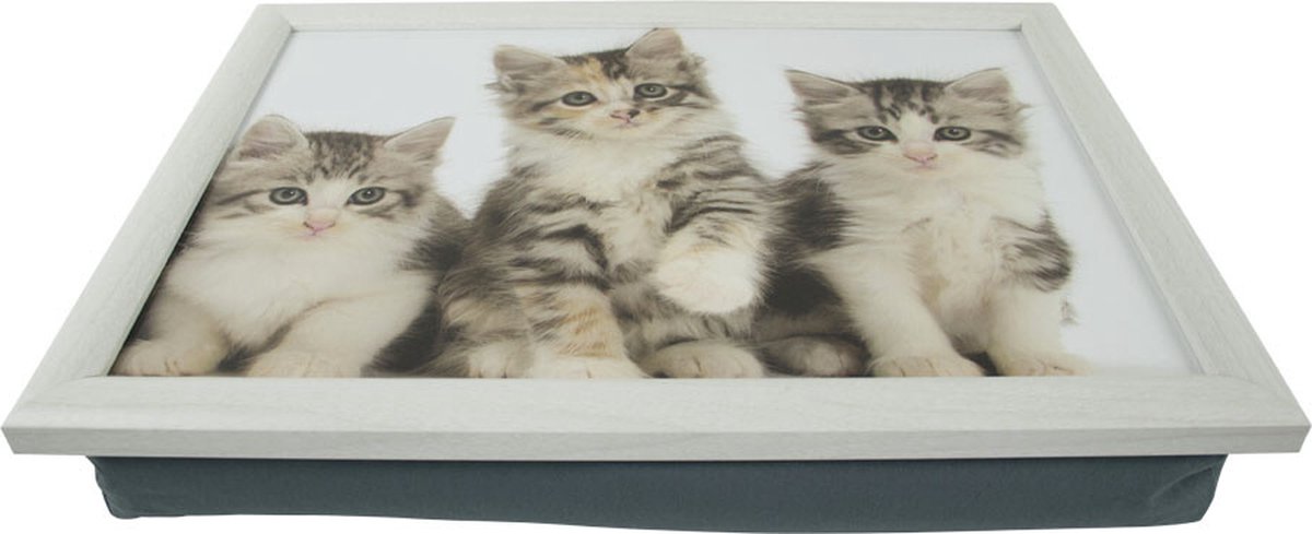 Mars & More Kittens - Laptray - 43x33 cm - Grijs/Wit