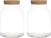 Set van 2x stuks glazen voorraadpotten/snoeppotten/terrarium vazen van 17.5 x 25 cm met kurk dop