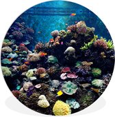 WallCircle - Wandcirkel ⌀ 60 - Aquarium met tropische vissen en koralen - Ronde schilderijen woonkamer - Wandbord rond - Muurdecoratie cirkel - Kamer decoratie binnen - Wanddecoratie muurcirkel - Woonaccessoires