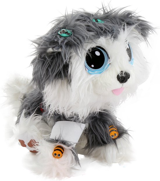 KD Group husky puppy om te redden en te genezen, vanaf 3 jaar — afbeelding 3