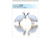 kalender Birdpix 34 cm papier cr√É¬®me/blauw