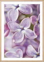 Poster Met Eiken Lijst - Vogel Kersen Bloemen Poster
