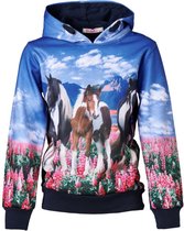 Meisjes marine/blauw trui hoodie met paarden | Maat 104/ 4Y