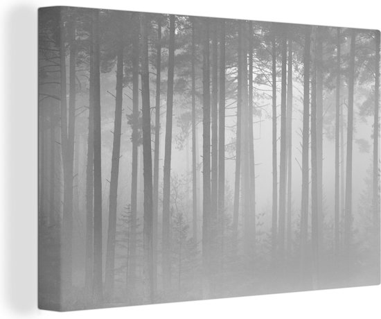 Canvas Schilderij Dichte mist in het Nationaal park New Forest in Engeland - zwart wit - 180x120 cm - Wanddecoratie XXL