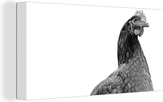 Canvas Schilderij Nieuwsgierige kip - zwart wit - 40x20 cm - Wanddecoratie