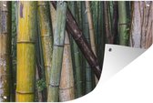 Nombreux types de bambous dans la forêt de bambous d'Arashiyama au Japon Affiche de jardin 60x40 cm - petit - Toile de jardin / Toile d'extérieur / Peintures pour l'extérieur (décoration de jardin)