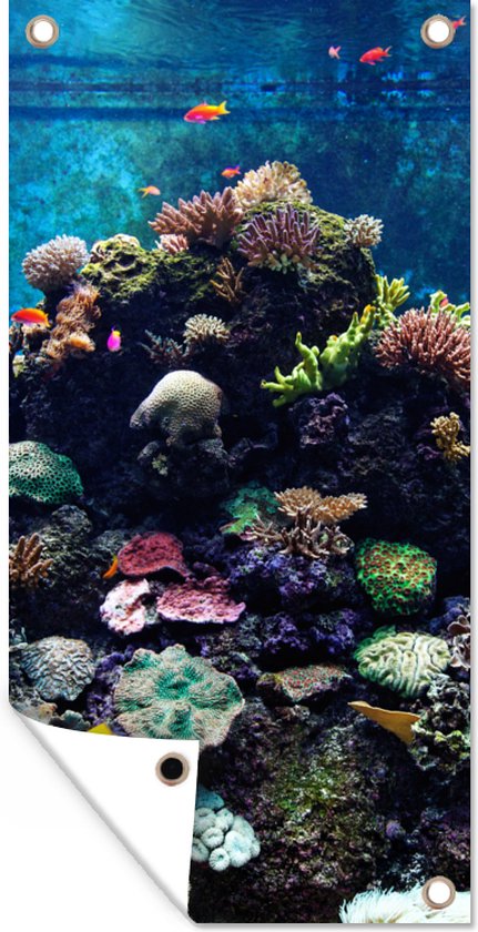 Zonnewaterpomp 12V - Geluidsarme Dompelpomp Met Dubbele Uitlaat Voor Vijver, Aquarium En Waterreservoir