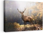 Artaza Peinture sur toile Cerf debout dans une forêt d'automne - 60x40 - Photo sur toile - Impression sur toile