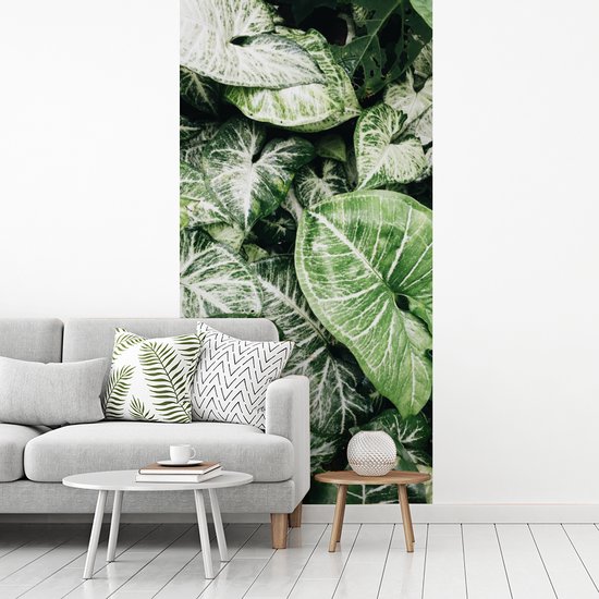 Papier Peint - Papiers Papier peint photo Feuilles - Nature - Végétal - Largeur 120 cm x Hauteur 240 cm