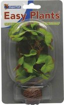 Superfish easy plants premier plan n ° 1 - de côté 13 cm - 1 PC