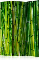 Vouwscherm - Bamboo Forest [Room Dividers]