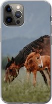 Geschikt voor iPhone 13 Pro hoesje - Paarden - Veulen - Natuur - Siliconen Telefoonhoesje