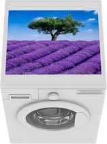 Wasmachine beschermer mat - Een close-up van een lavendelveld - Breedte 55 cm x hoogte 45 cm