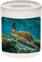 Tirelire photo Animaux tortue de mer 9 cm garçons et filles - Tirelires cadeaux amoureux des tortues de mer