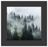 Misty Forest - Foto op Akoestisch paneel - 120 x 120 cm