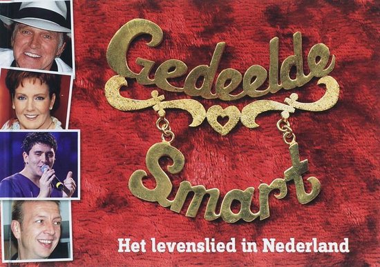 Cover van het boek 'Gedeelde smart' van Jan van Lieshout en R. de Vries