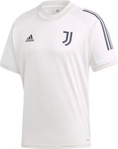 Vermelding erts Brengen Juventus Trainingsshirt 2020-2021 Grey | bol.com