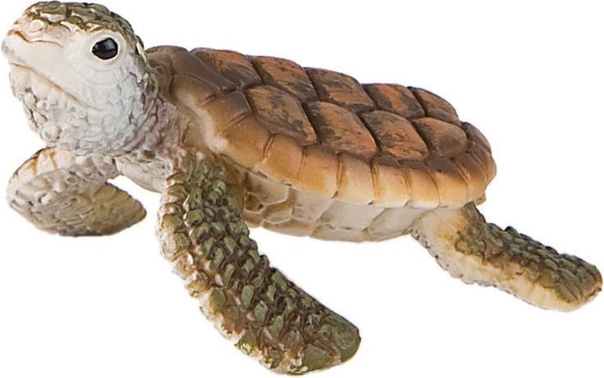 Bullyland 63569 - speelfiguur en verzamelfiguur jonge zeeschildpad - ca. 4,5 cm - levensecht en detailrijk vormgegeven - ideaal als educatief speelfiguur en klein cadeautje voor kinderen vanaf 3 jaar.
