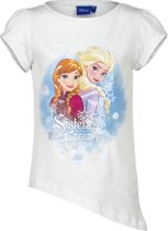 Disney Frozen t-shirt Anna & Elsa maat 104