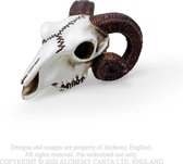 Alchemy Beeld/figuur Rams Skull Creme