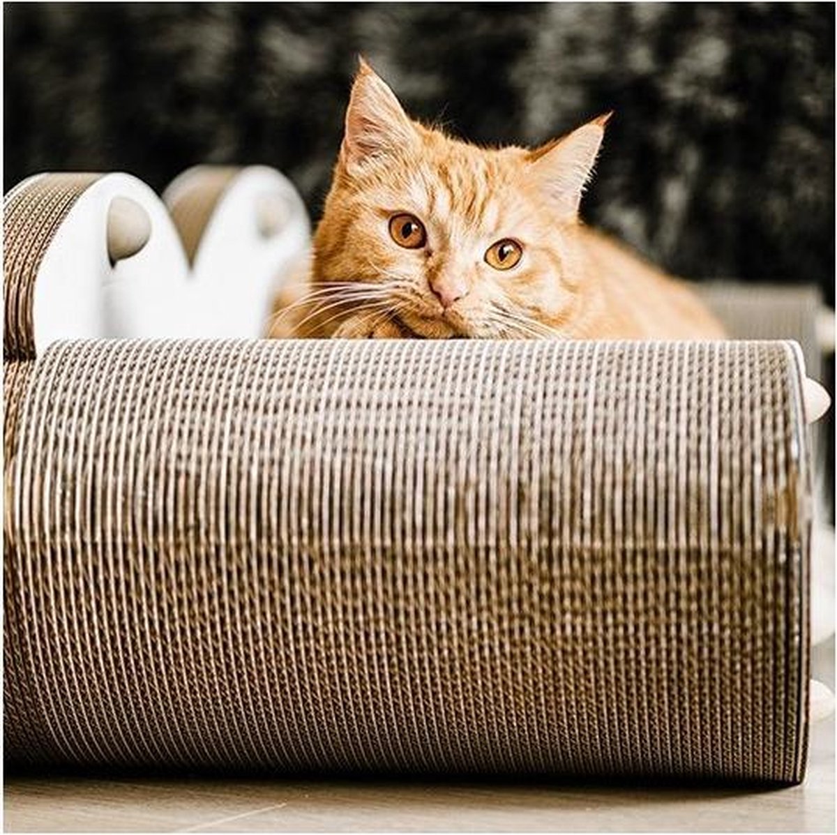 favoriete Overdreven Beyond Lucy krabkarton Deluxe is de relax fauteuil voor je kat | bol.com