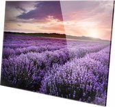 Veld met lavendel | 90 x 60 CM | Wanddecoratie | Natuur| Plexiglas | Schilderij op plexiglas