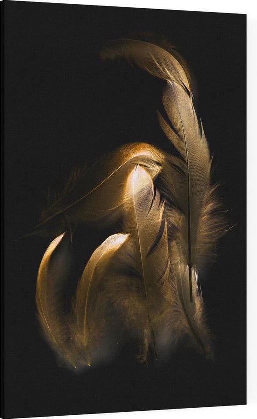 Gouden veren op zwarte achtergrond - Foto op Canvas - 100 x 150 cm | bol.com