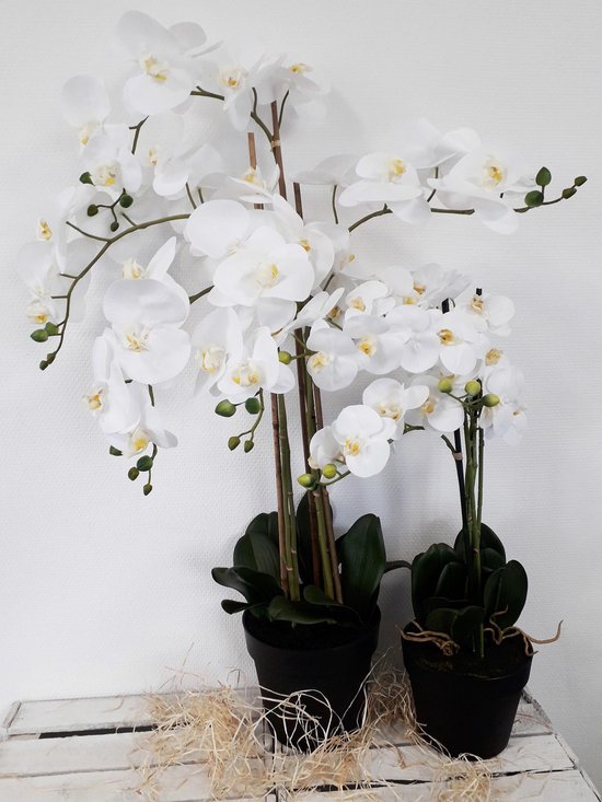 Orchidée artificielle réaliste / plant Phalaenopsis 75 cm avec pot (5  branches pleines... | bol