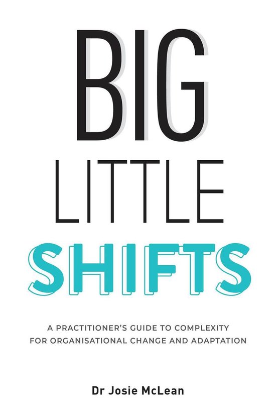 Big Little Shifts - cover