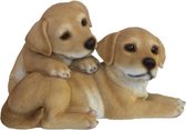 Esschert Design Puppies 25,7 X 23,9 Cm Polyresin Bruin