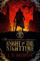 Twinborn Chronicles 1 - Knight in the Nighttime