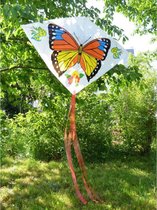 Vlinder Delta Vlieger - 70x100cm