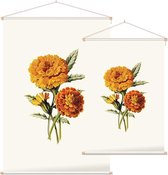 Goudsbloem (Marigold Whie) - Foto op Textielposter - 90 x 135 cm