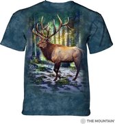 T-shirt Sunlit Elk
