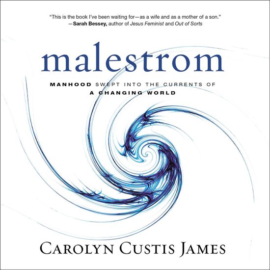 Boekcover met de titel 'malestrom' in blauwe letters, met daaronder de tekst 'MANHOOD SWEPT INTO THE CURRENTS OF A CHANGING WORLD' en de naam 'CAROLYN CUSTIS JAMES'. Centraal een blauw vortex-achtig patroon.